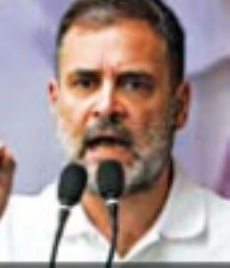 लाेकतंत्र खत्म करने की दिशा में हाे रहा काम: राहुल गांधी